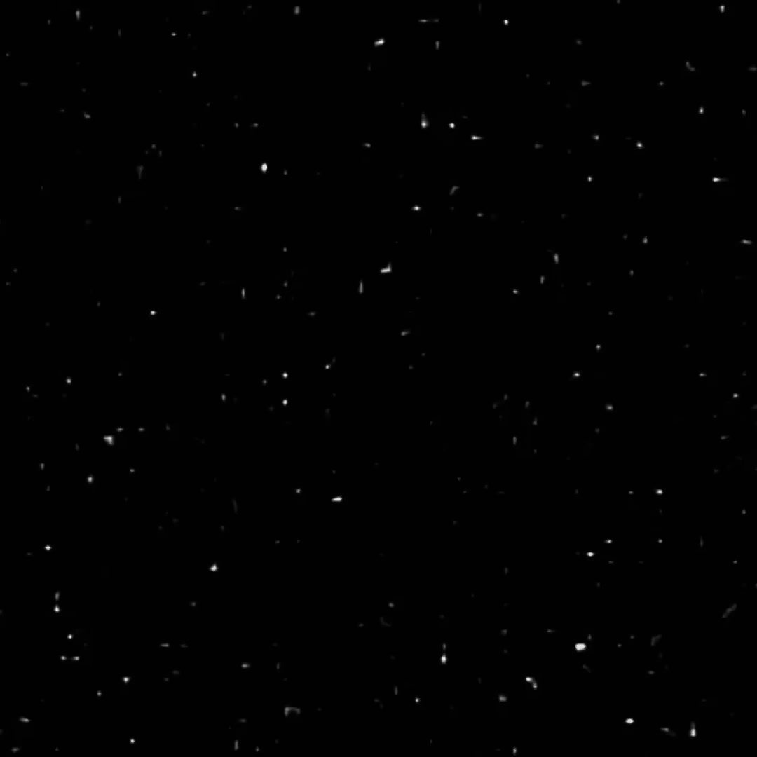 @عــايــض • 𝒜𝓎𝒾𝒹
