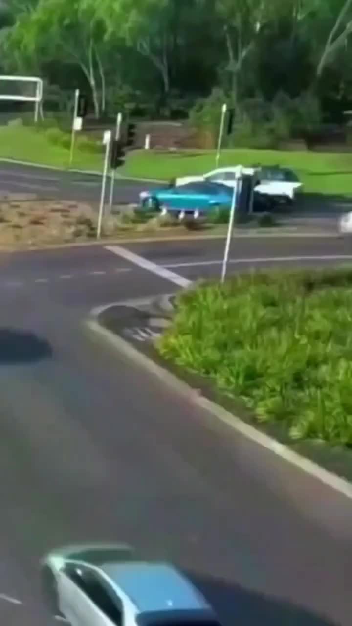 @GIF LOVER❤️