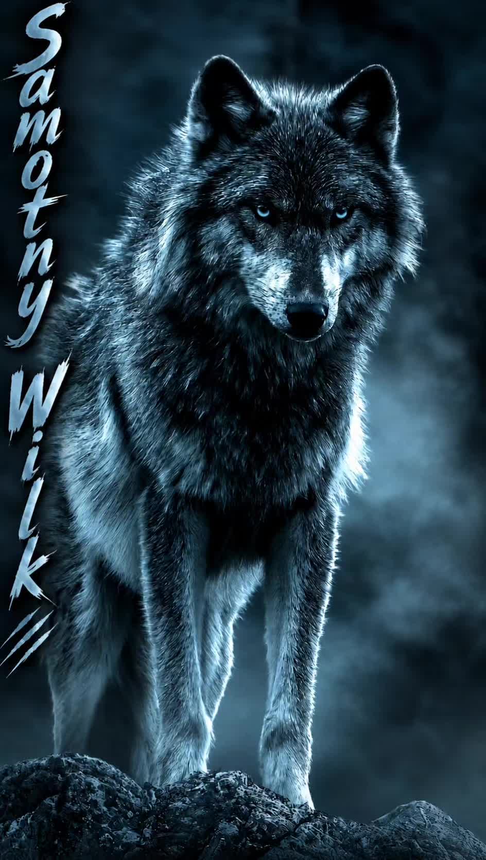 @Samotny Wilk 🐺🐦🔥♈
