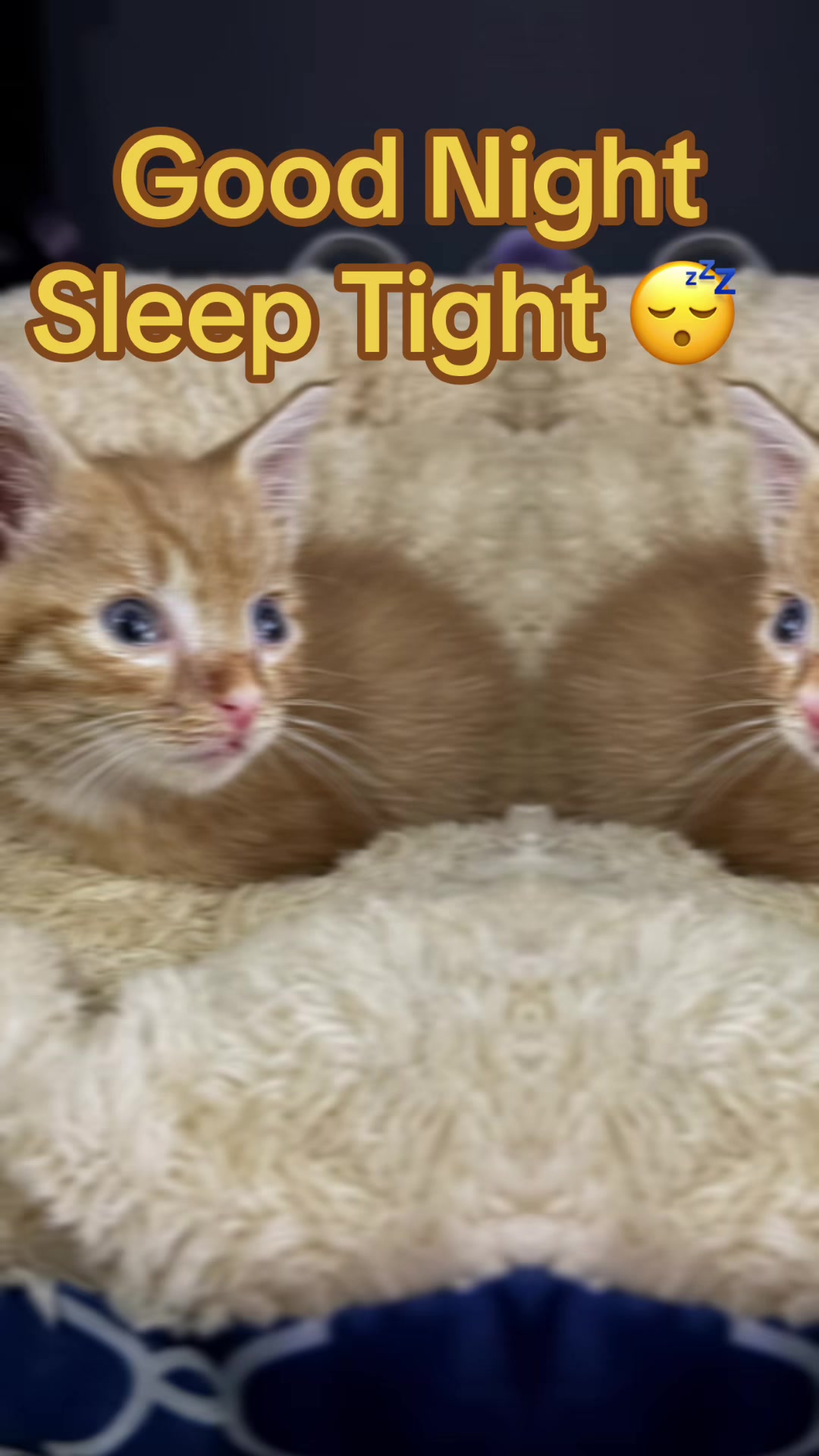 @OzzisAngels