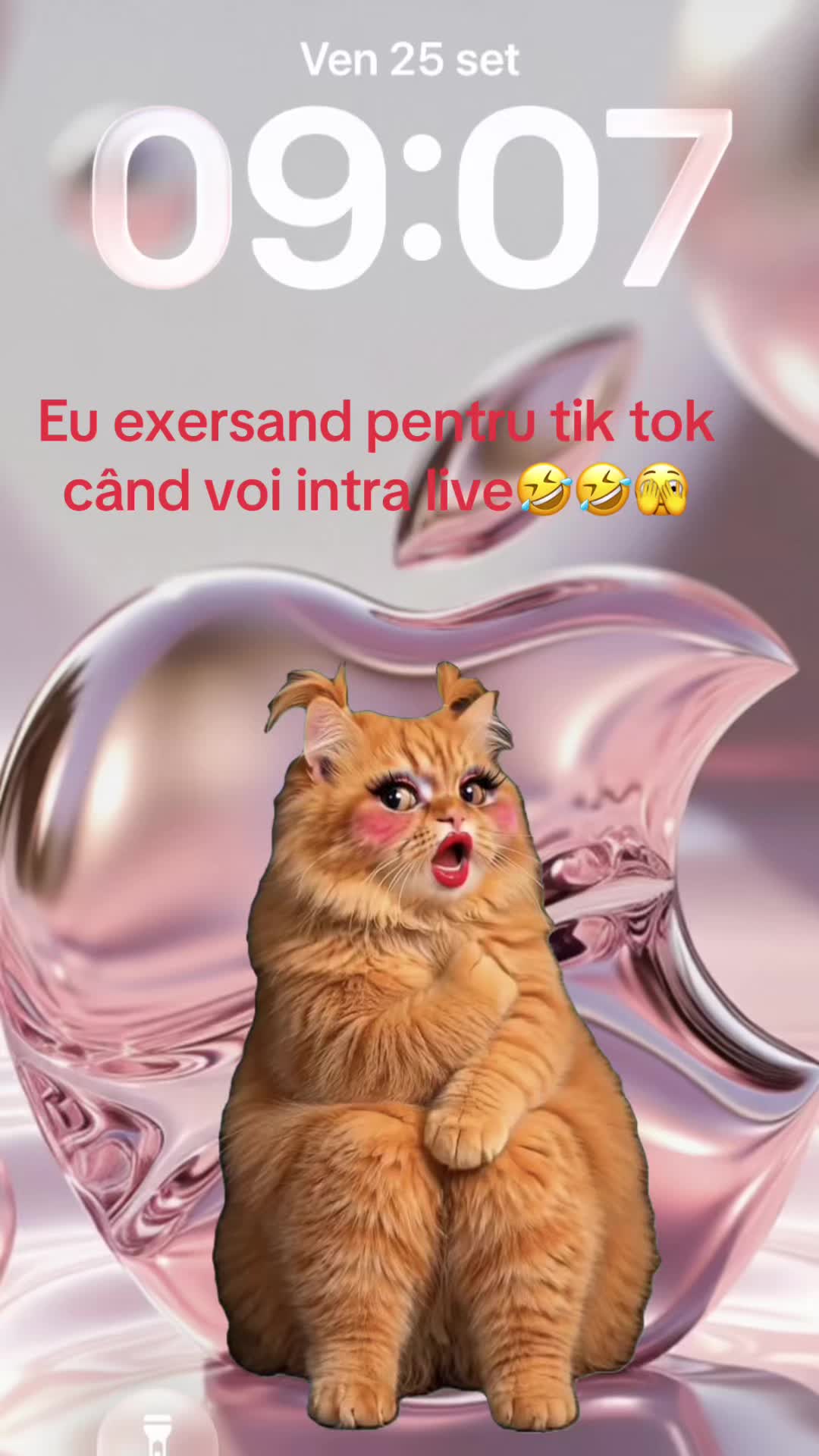 @Alinaa