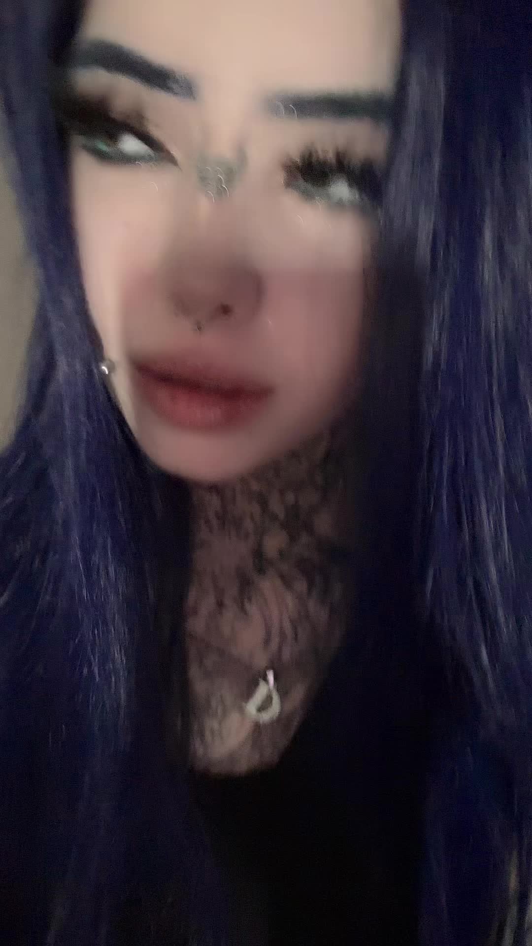@dark dynasty