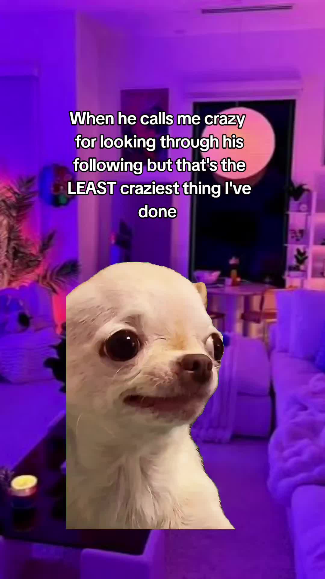 @Julie 👑