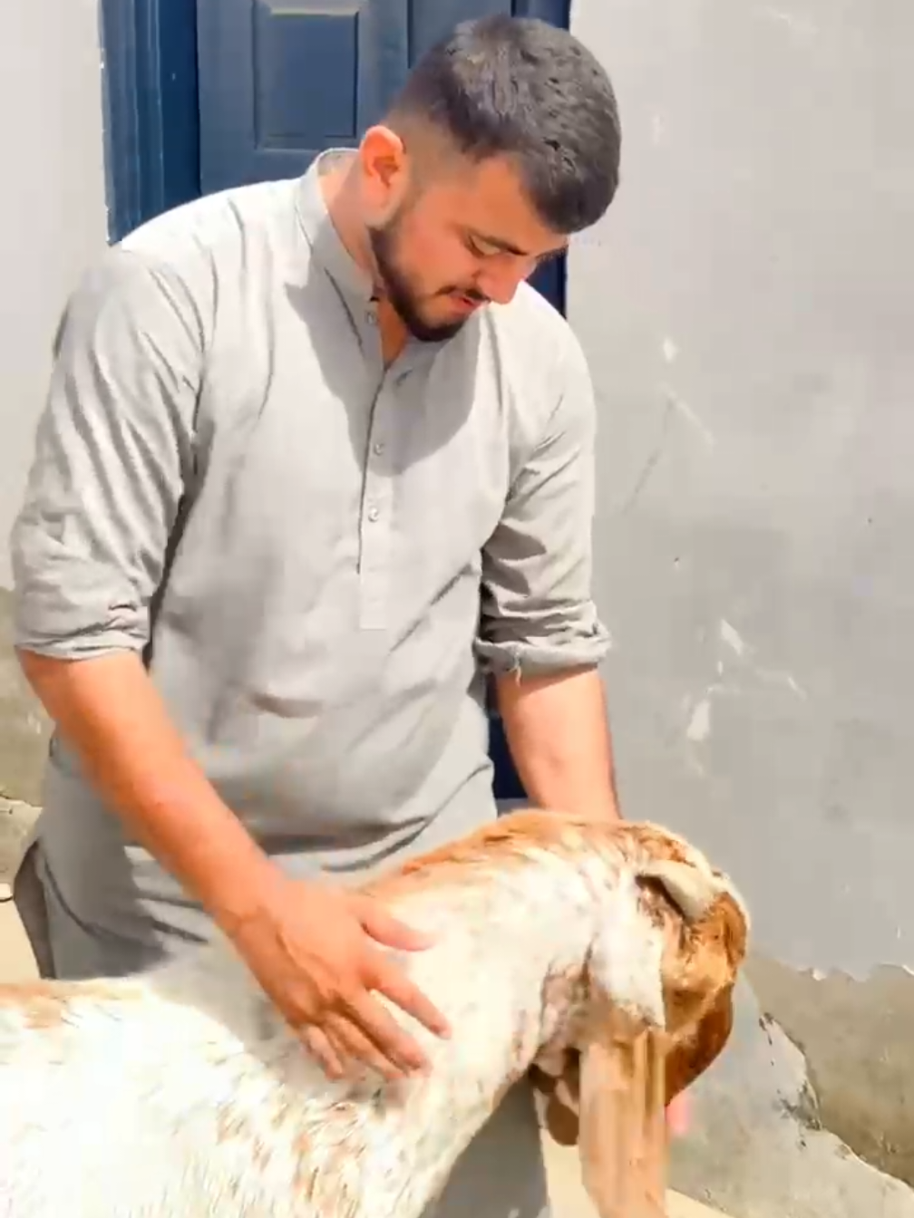 @farzansahi65