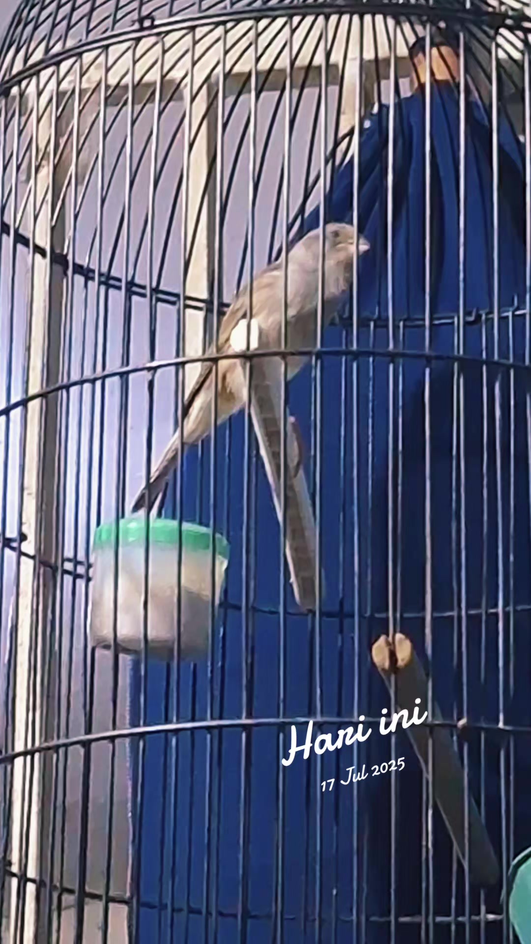 @totalbukpar