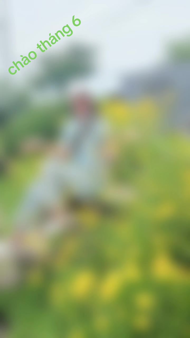 @g&aacute;i hải dương