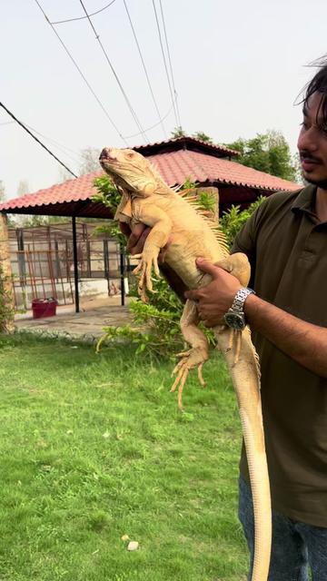 @jimmy_junaid_zoologist