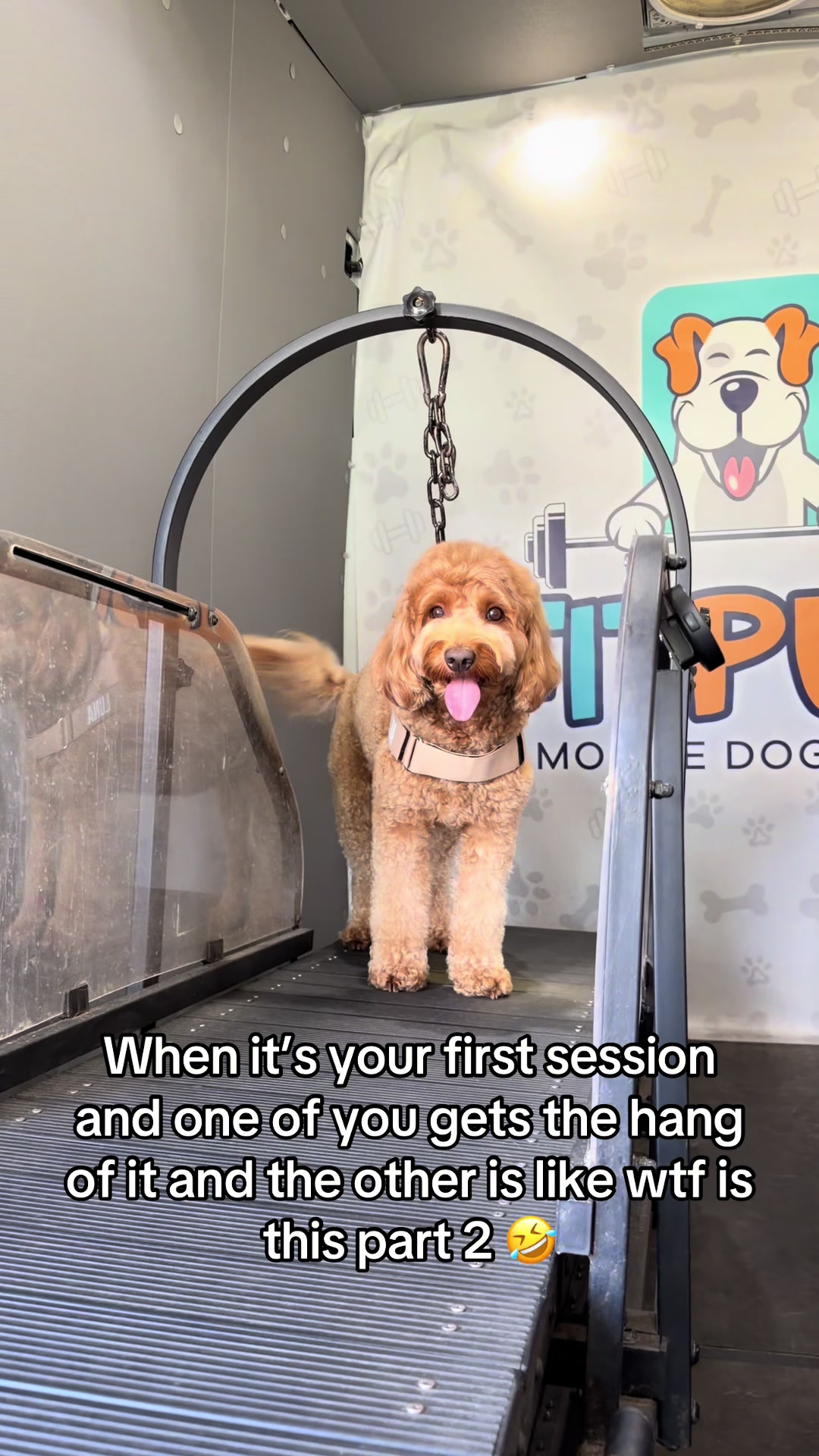 @FITPUP Mobile Dog Gym