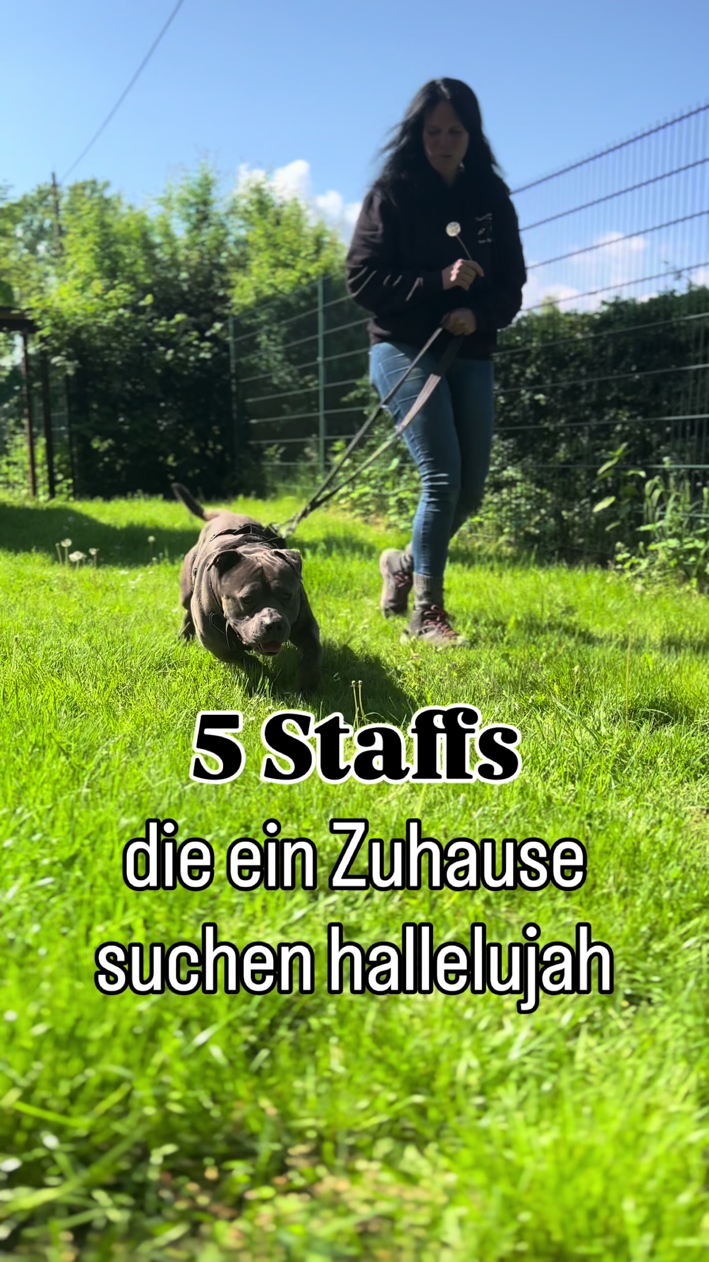 @Tierheim Witten e.V.