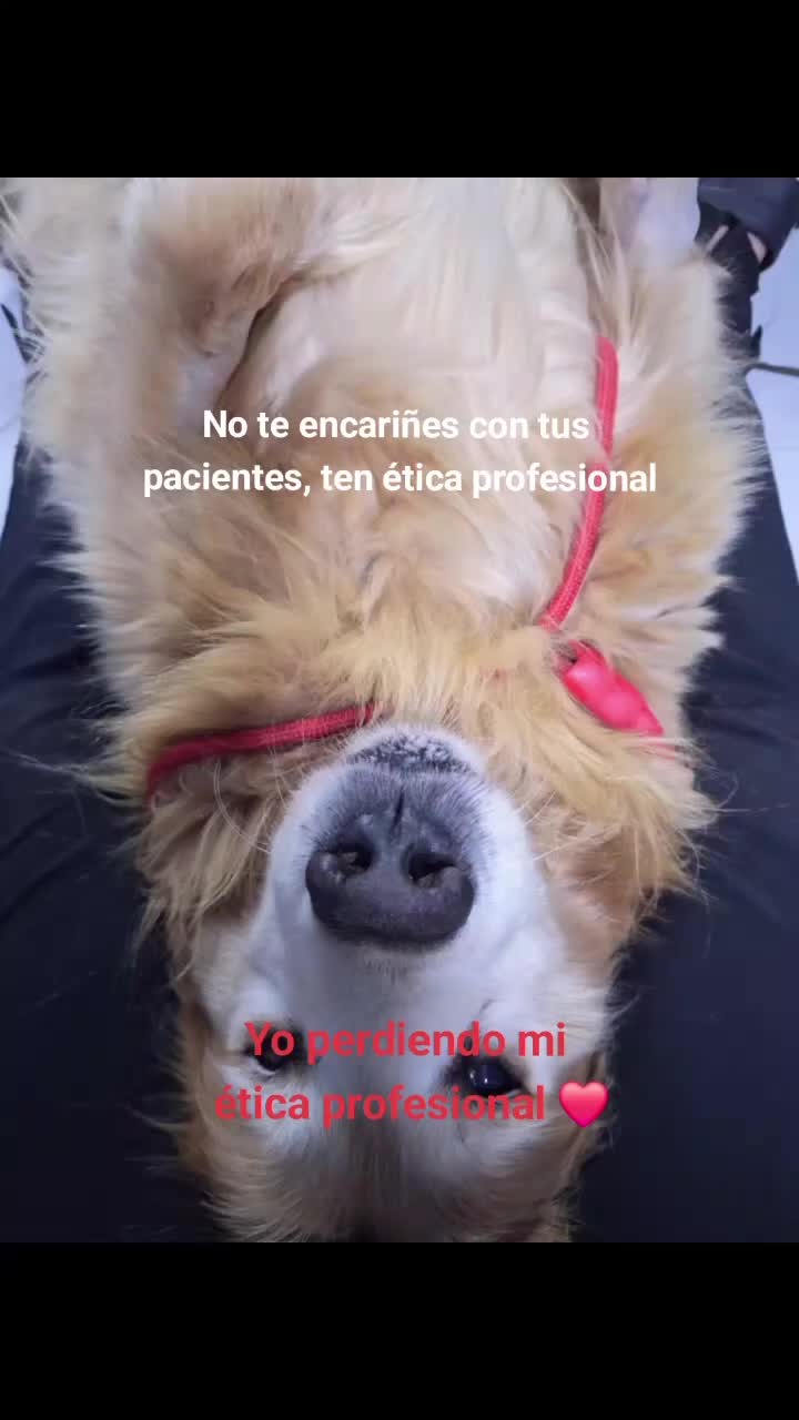@Natalia Villalobos H