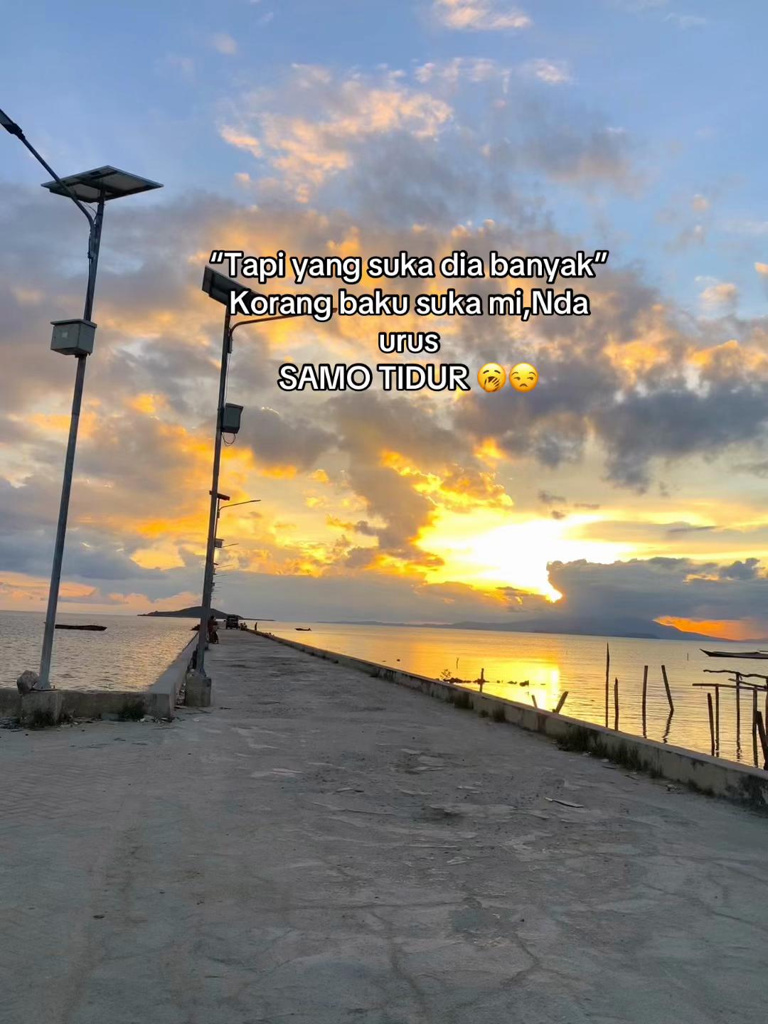 @Senja✨