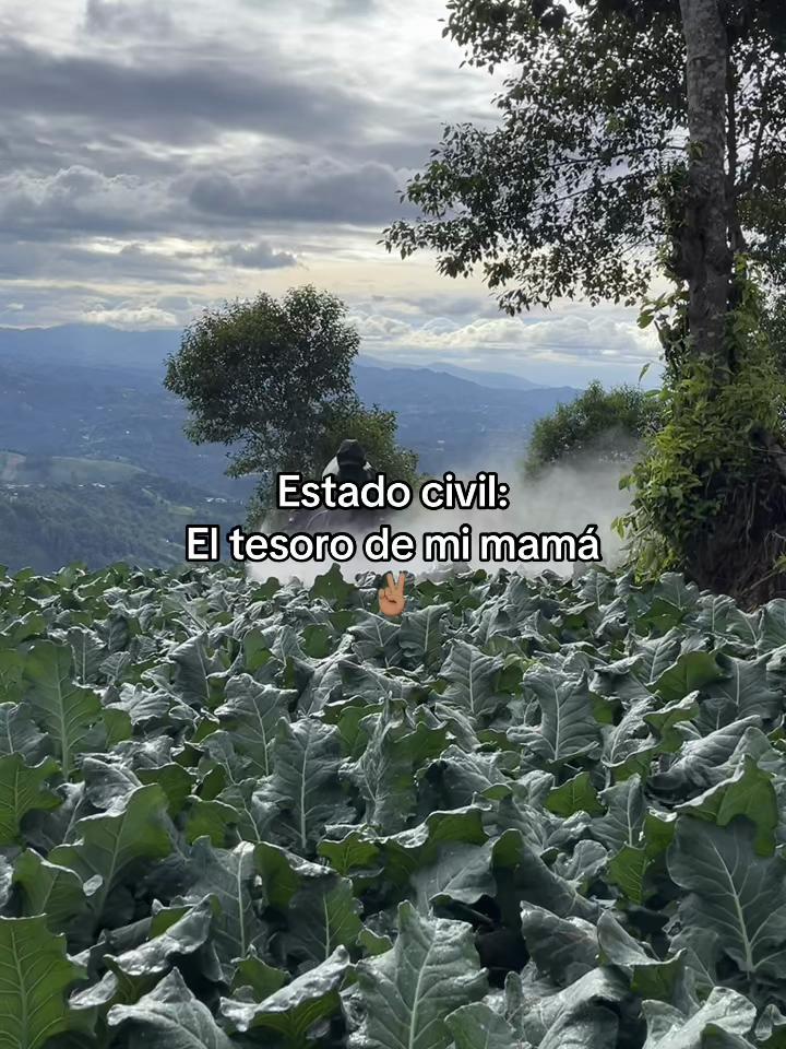 @Henry 🫡🤠