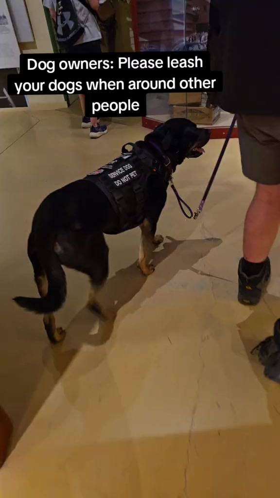 @Kairo's K9s Training 🇨🇦