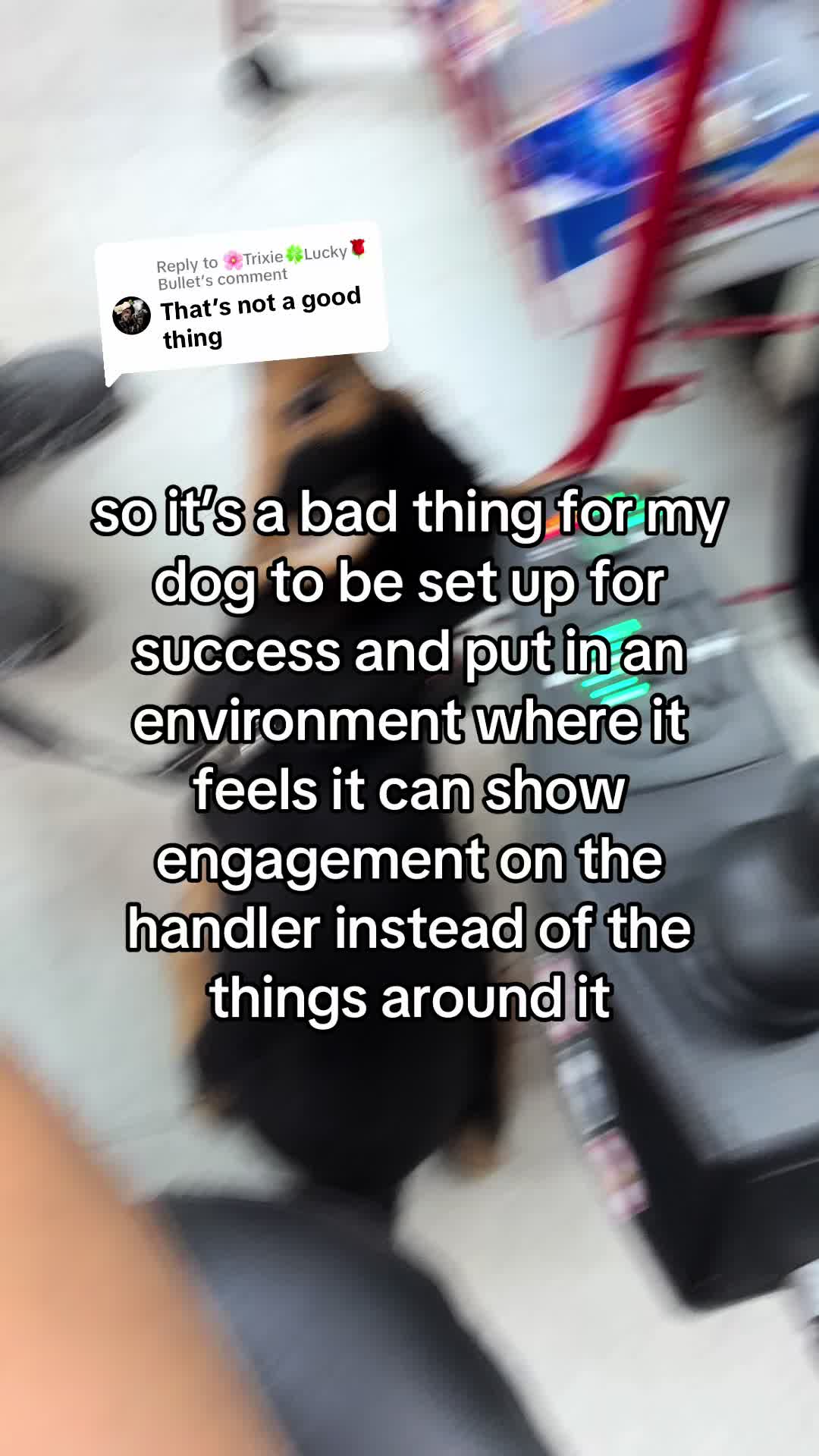 @those_labs_and_the_gsd