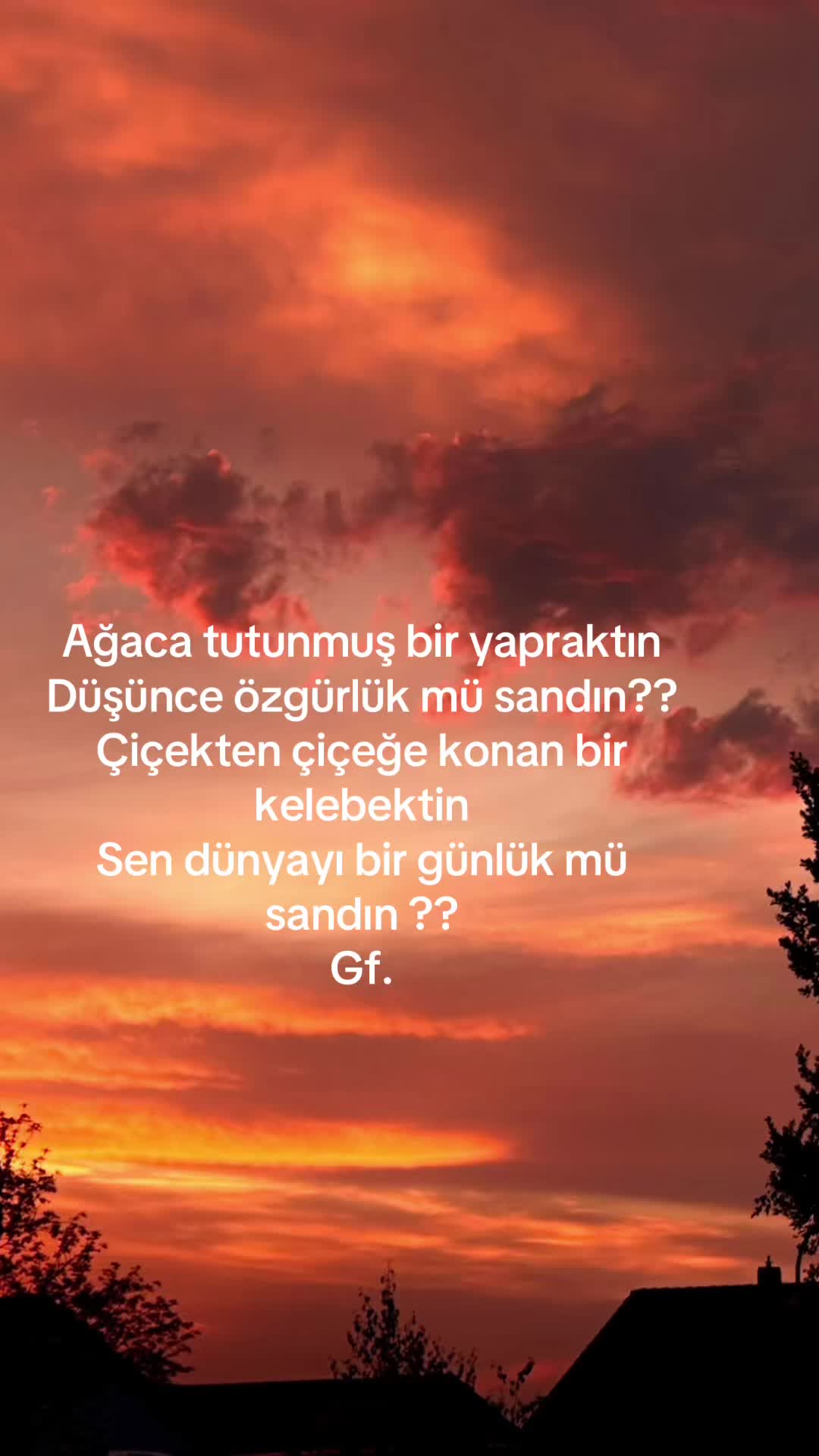 @Gül🌹