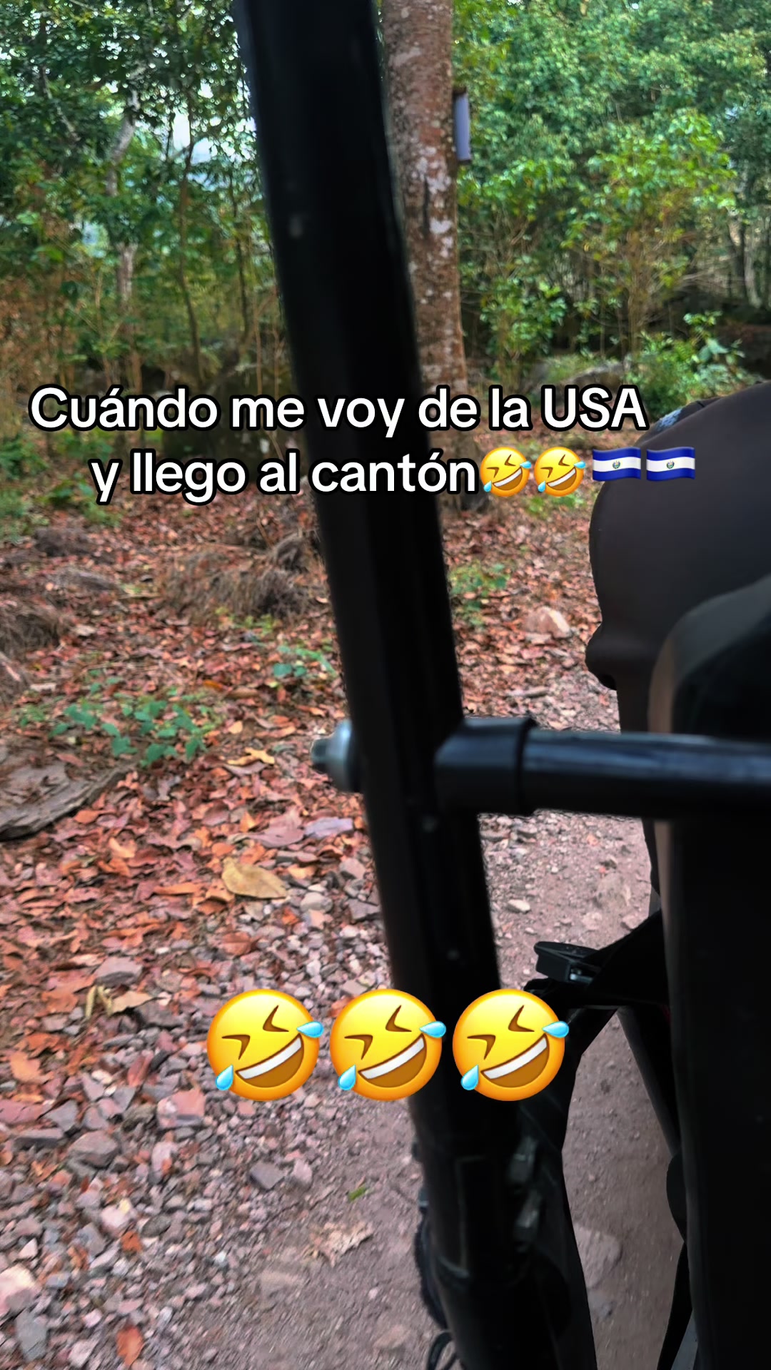 @guadalupetursios8
