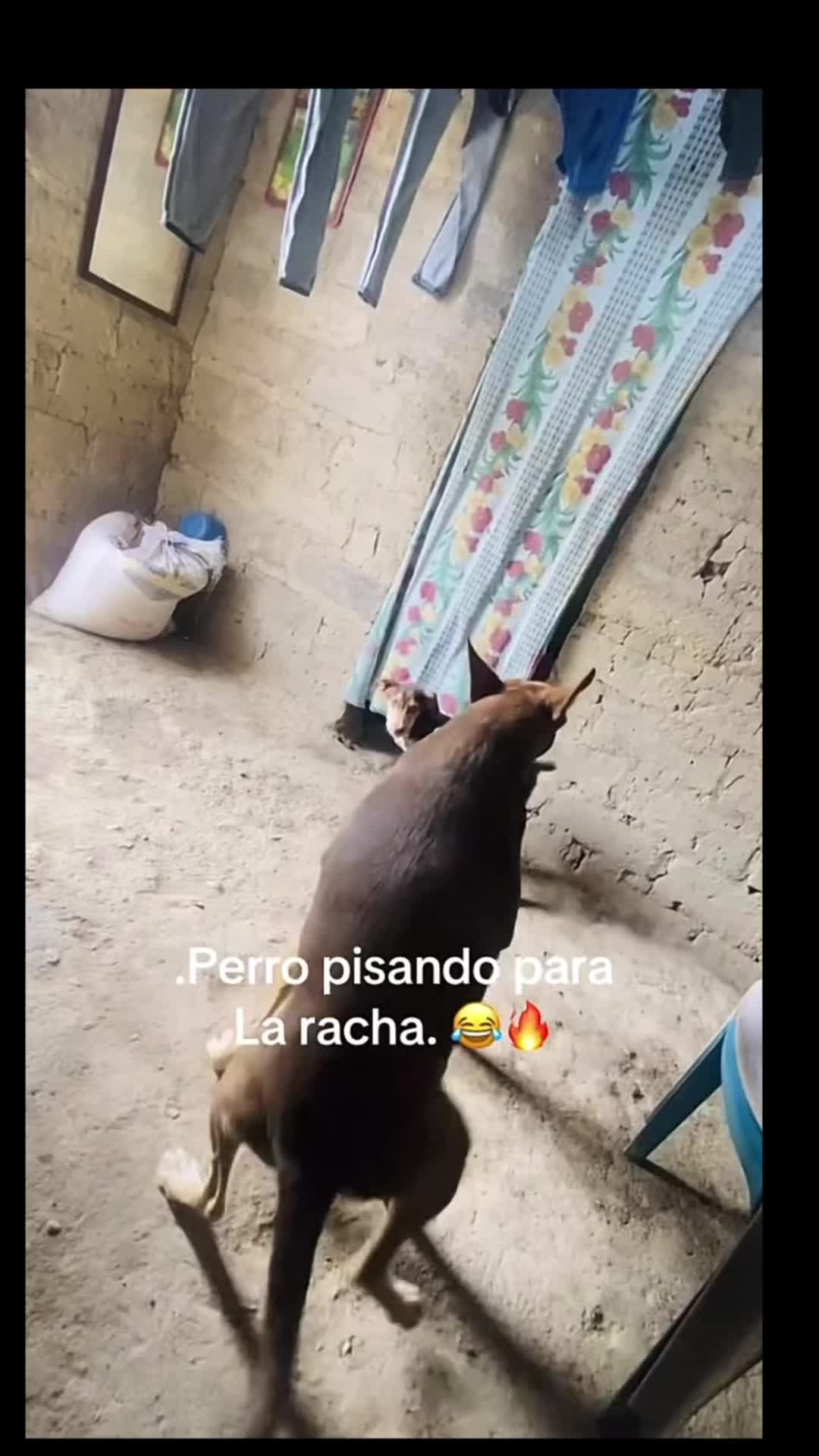 @Game 0ver 7