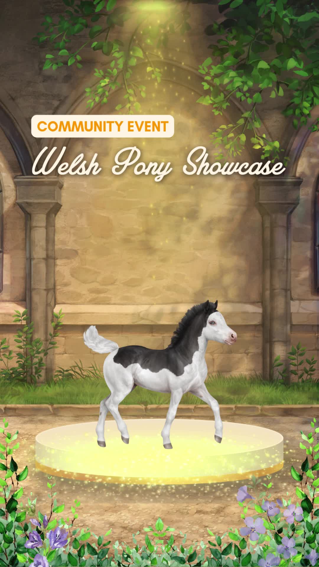 @Horse Reality