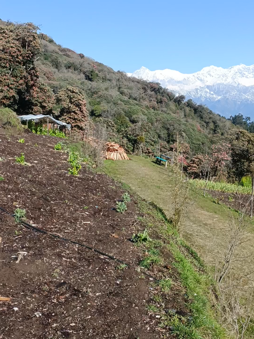 @hi_himalaya_nepal