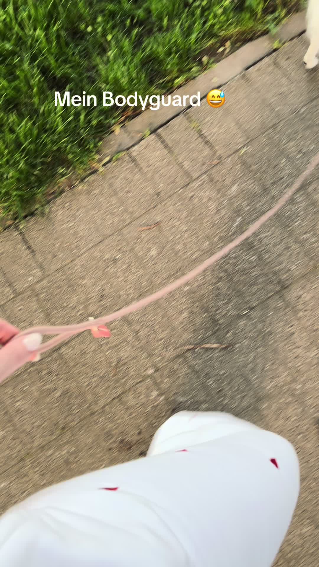 @AngiSangi🎀