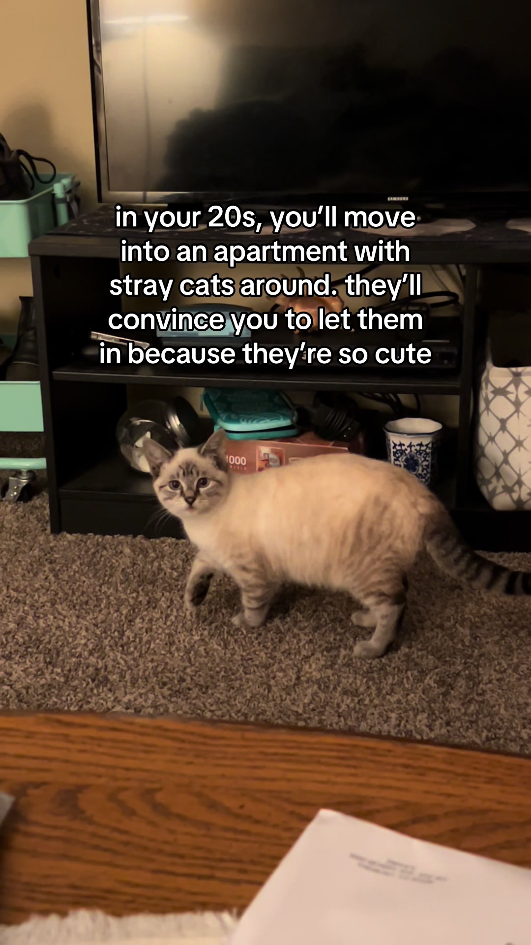 @evelyn