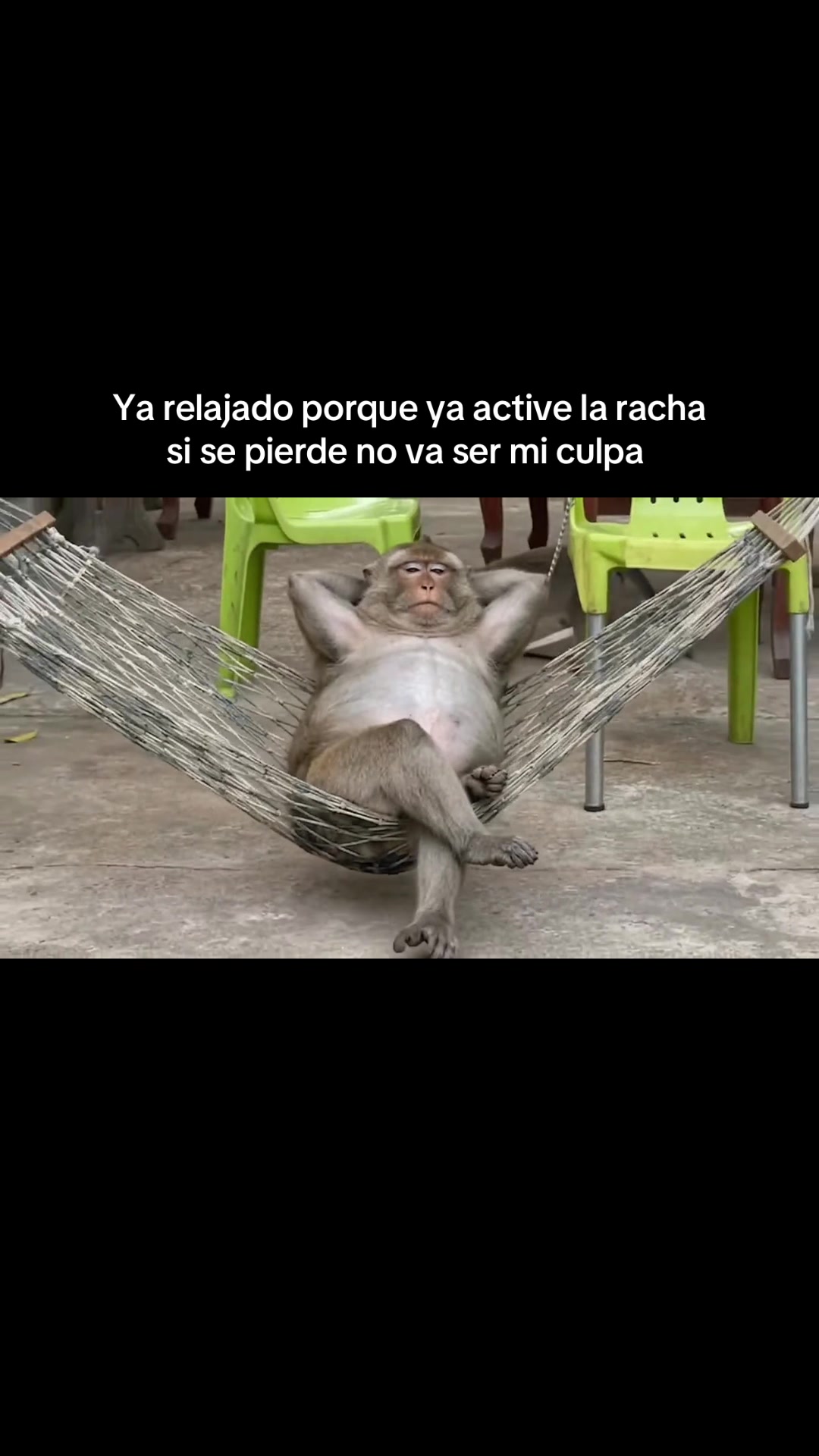 @RabPesito 🔥