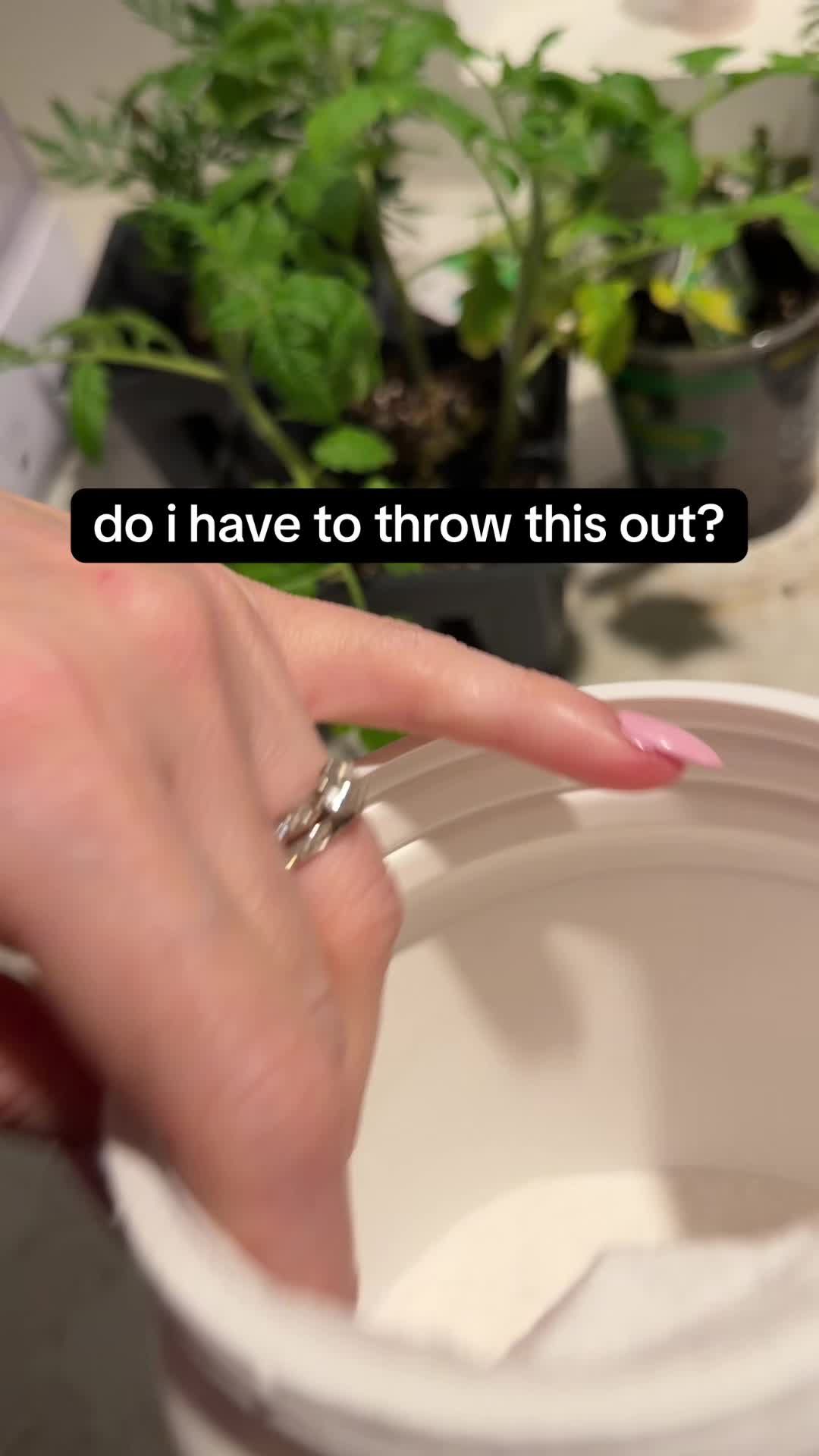 @KristenAndDave
