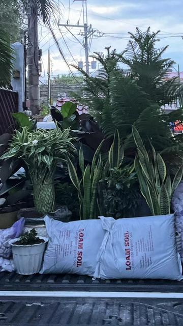 @BM-JOV GARDEN CENTER