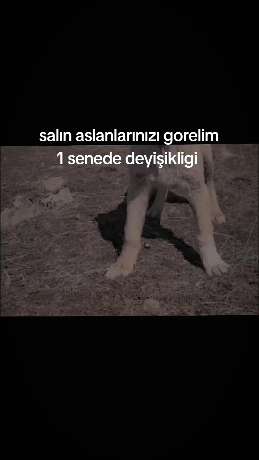 @𝑀𝑒𝓂𝑜_𝒢_𝑅_𝐵_𝒵_