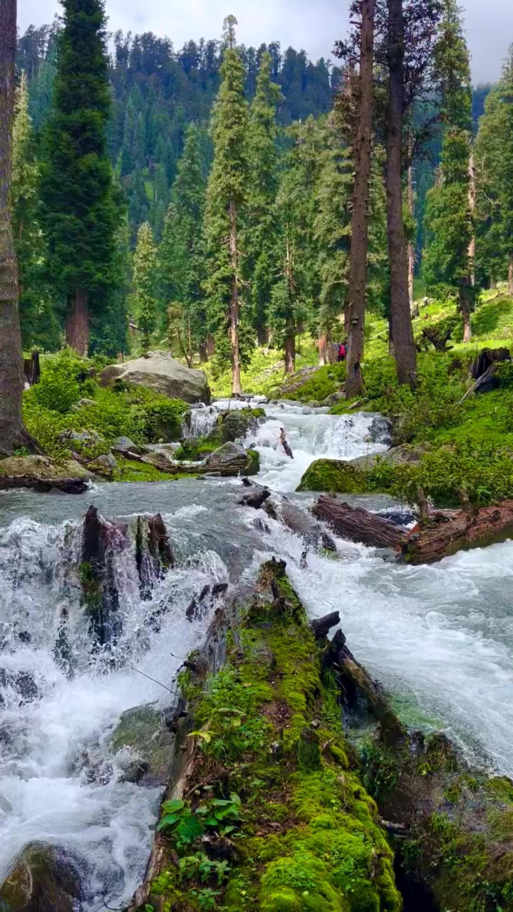 @Sudarshan