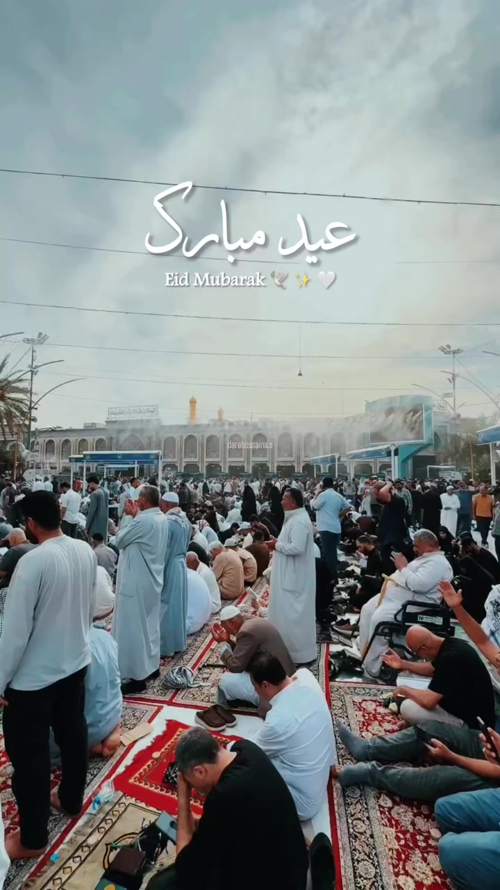 @Dar e Hussain a.s
