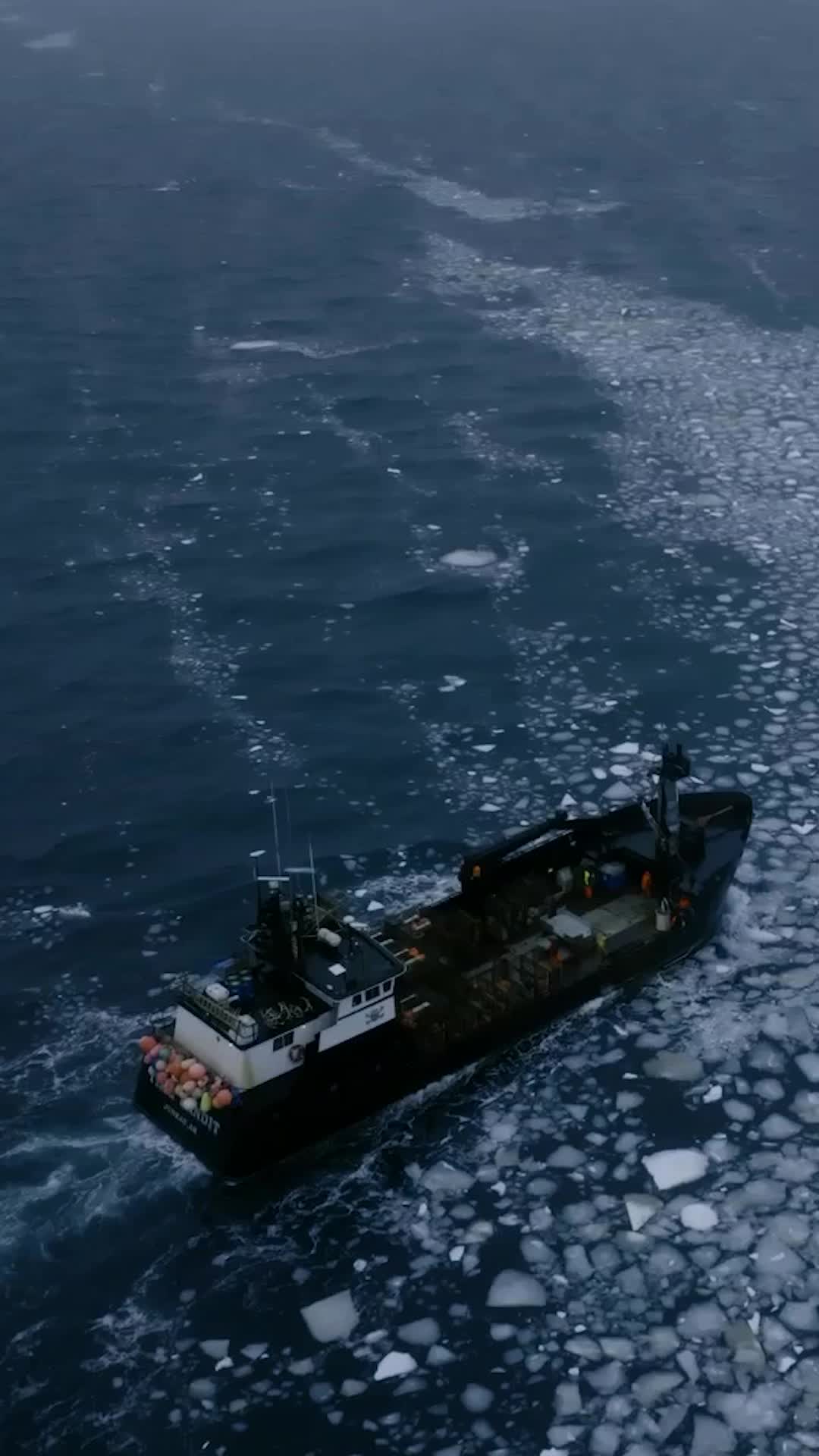 @Discovery
