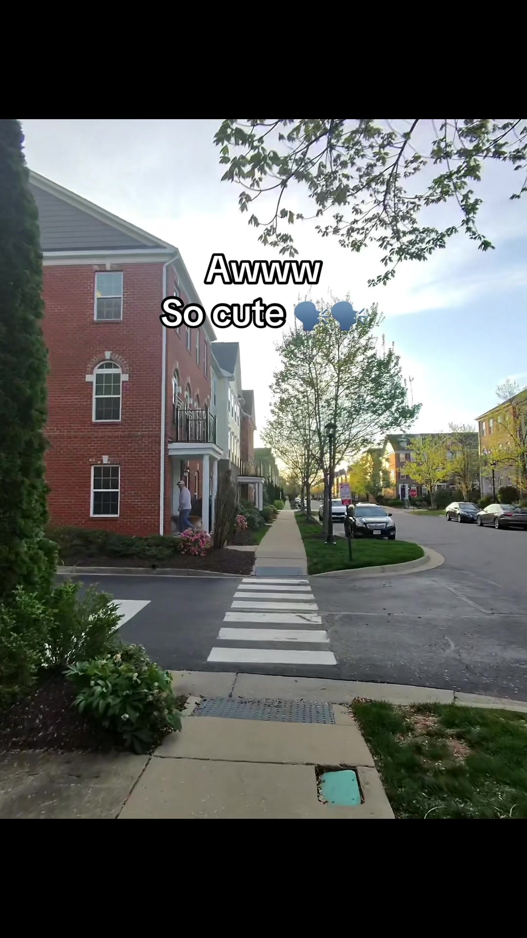 @Alex YM