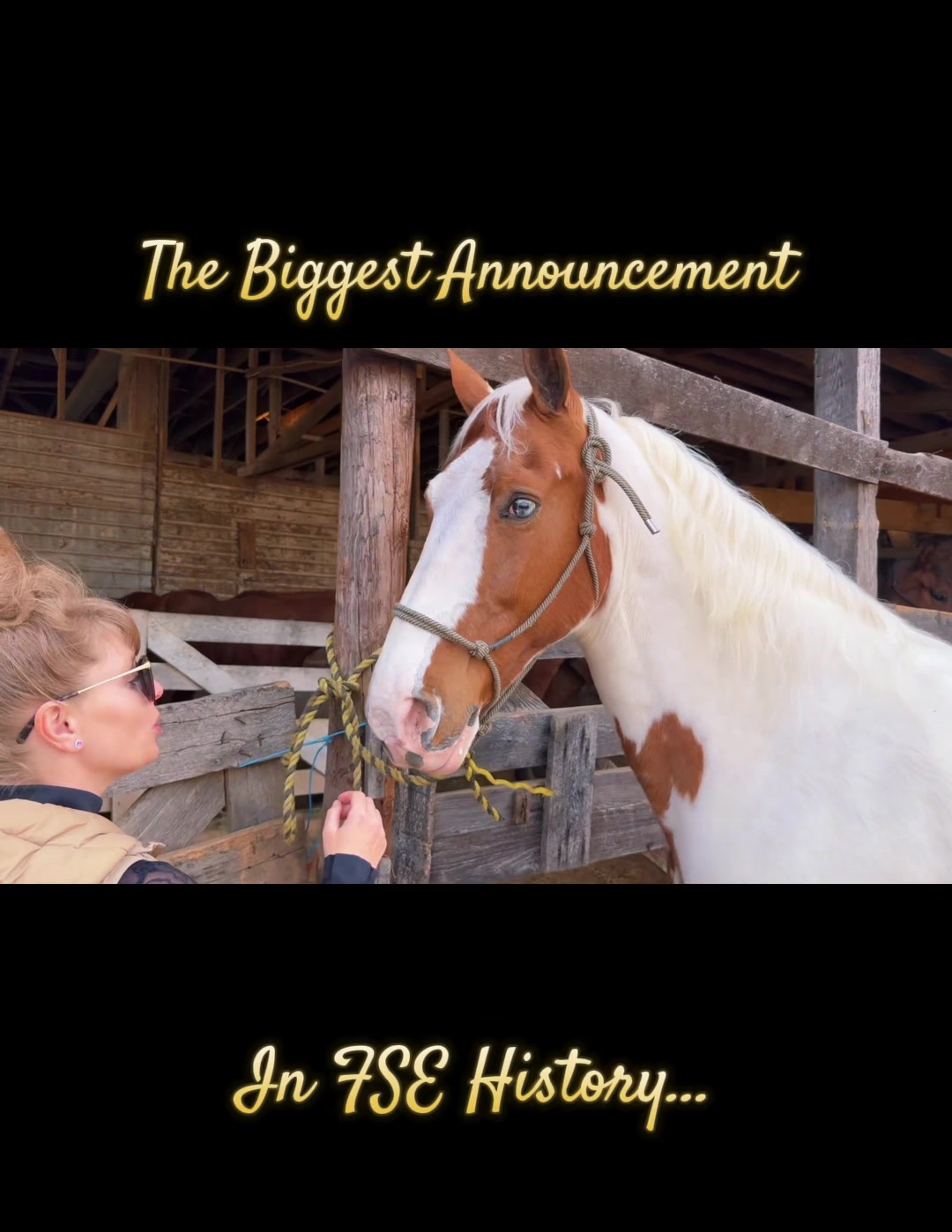 @Free Spirit Equestrian
