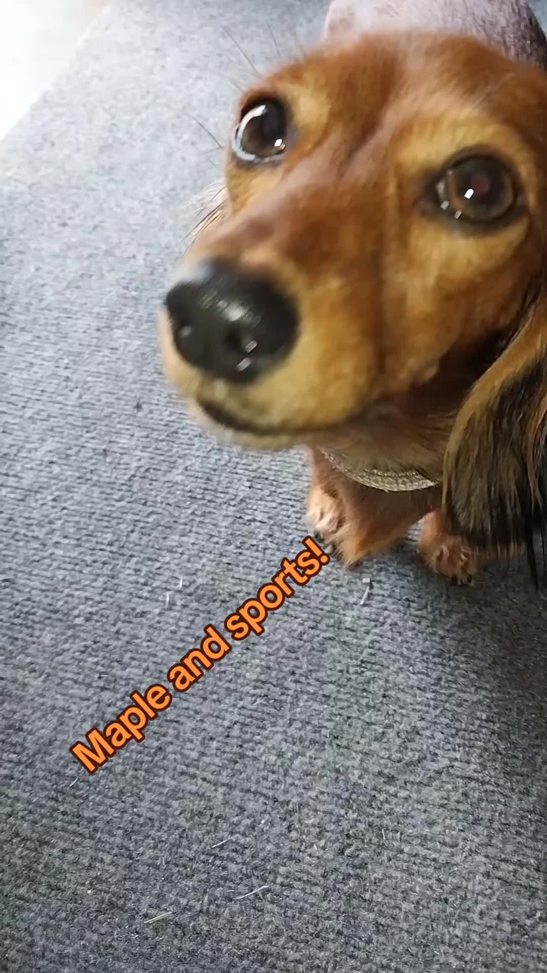@filmguy13z