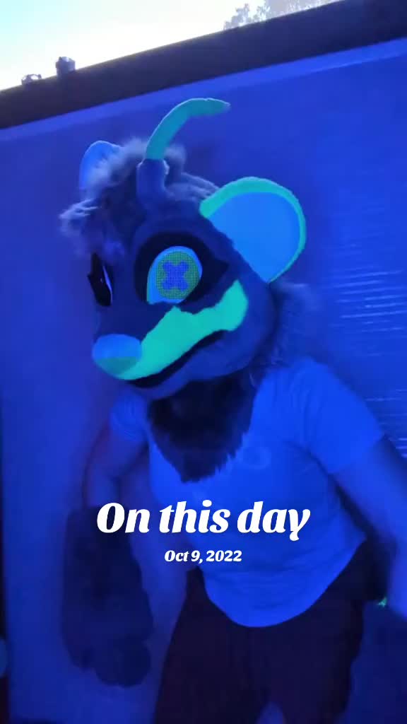 @Nexa Ferret