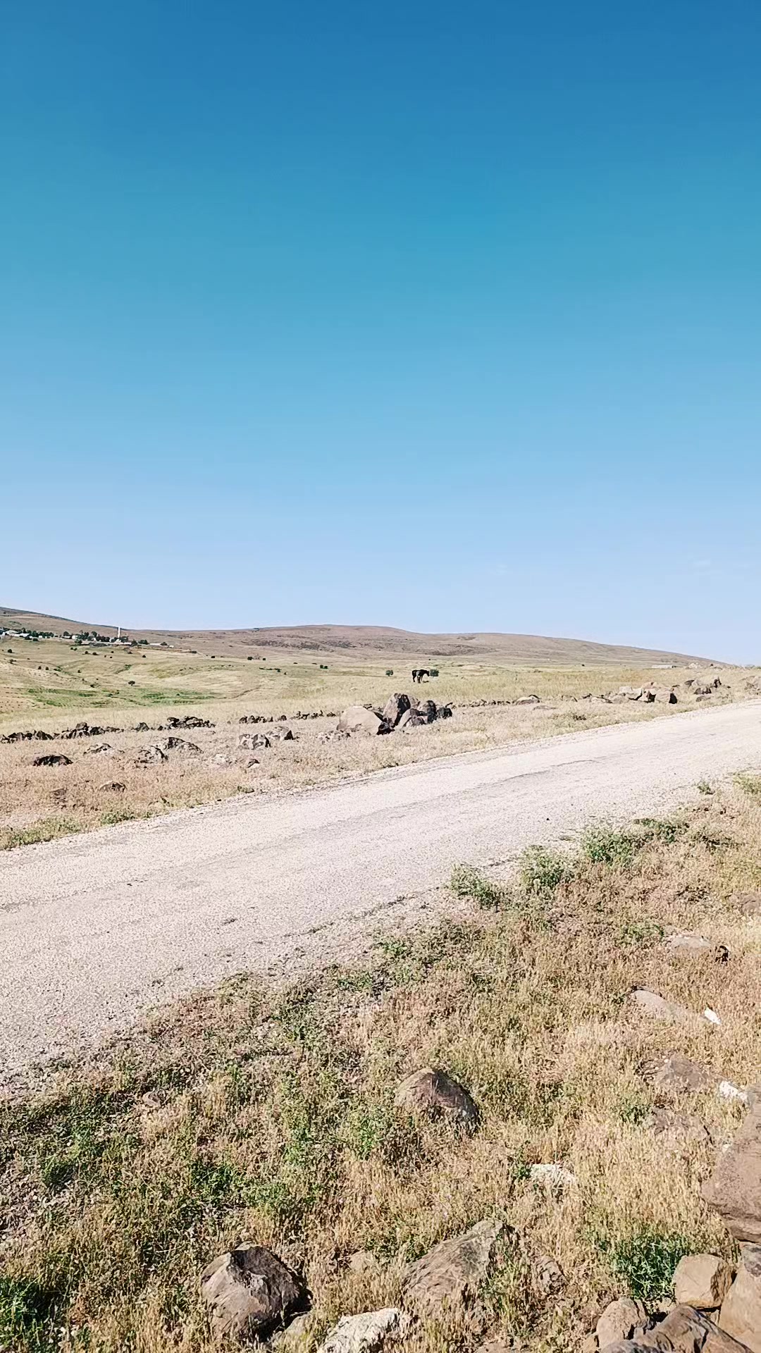 @&ouml;zg&uuml;r2121