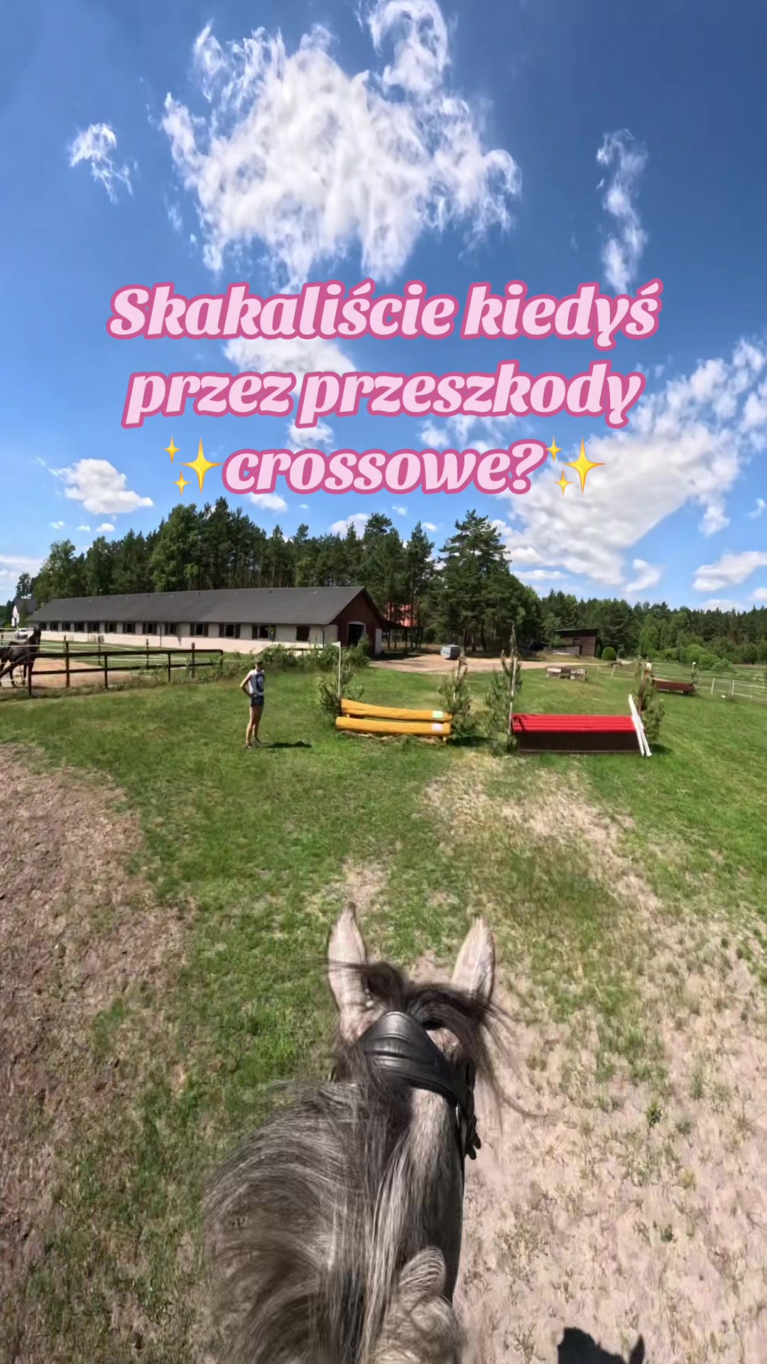 @Stajnia Miejsce Rozwoju
