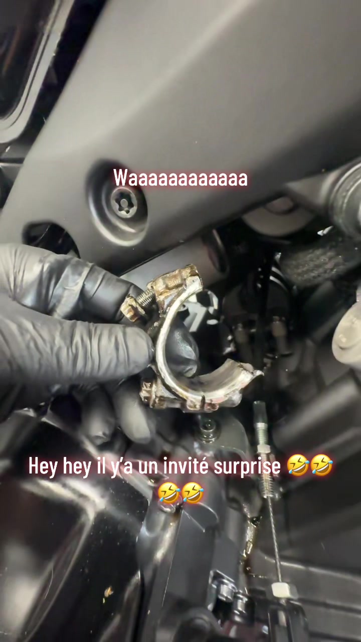 @Lbmotorssenart