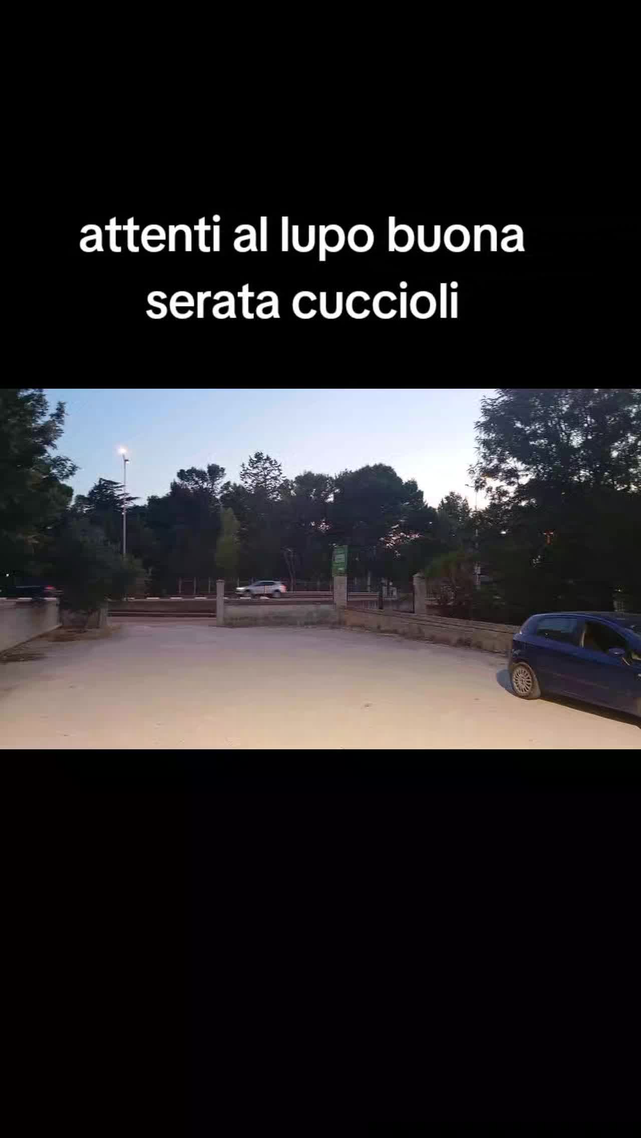 @cosimotauro8