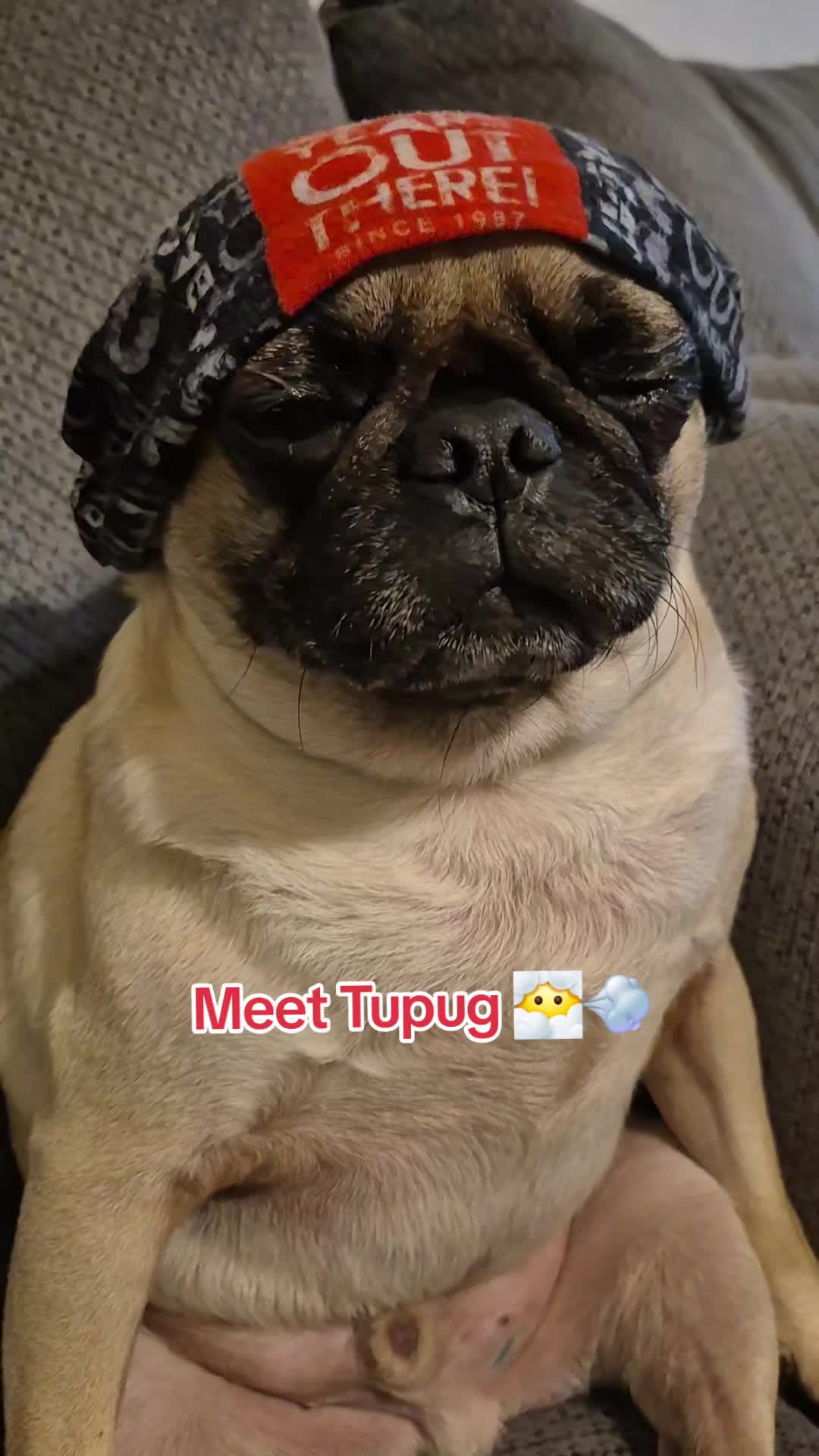 @Kiki&Cupid Thepugster