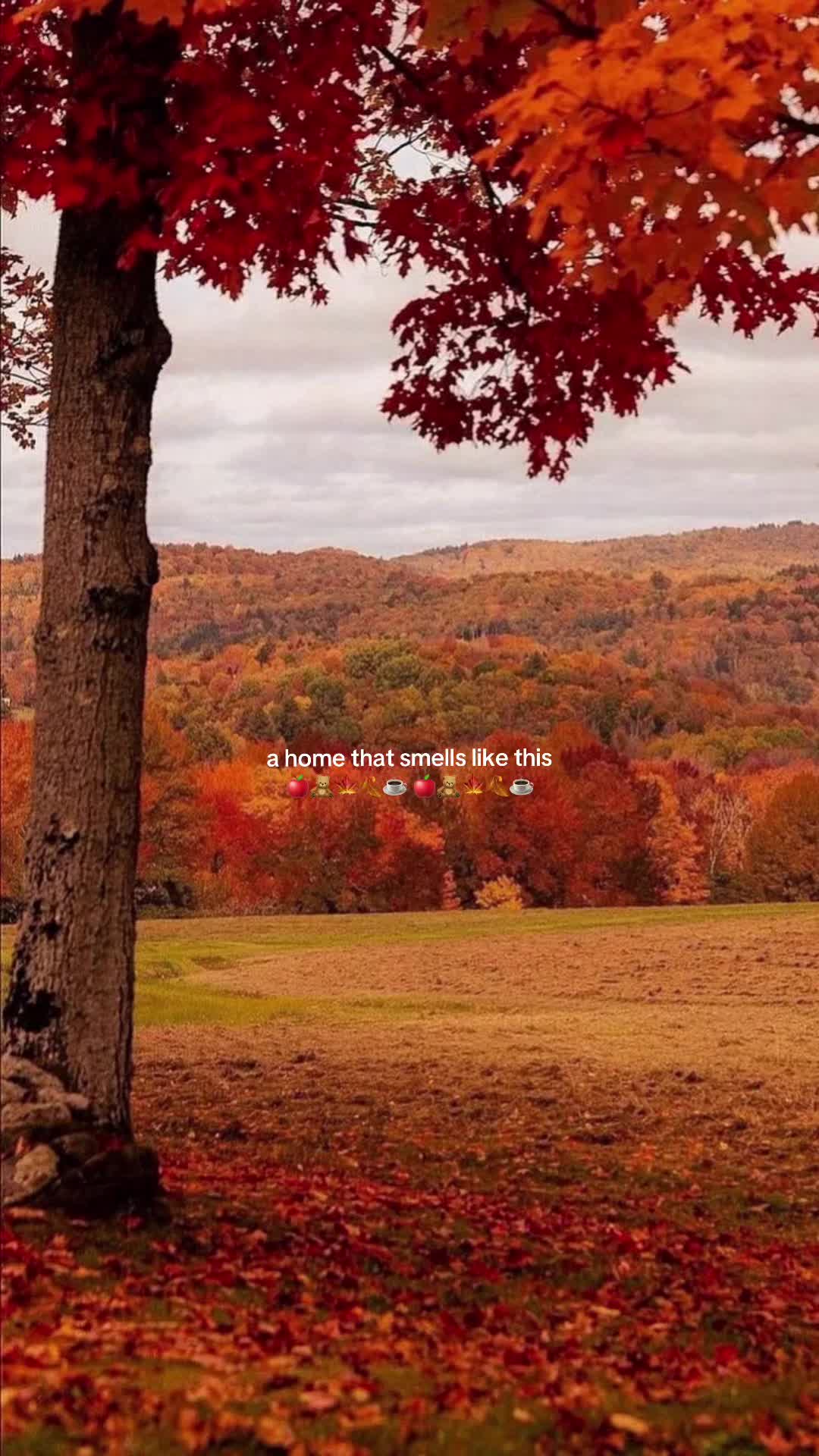 @all_the_vibes