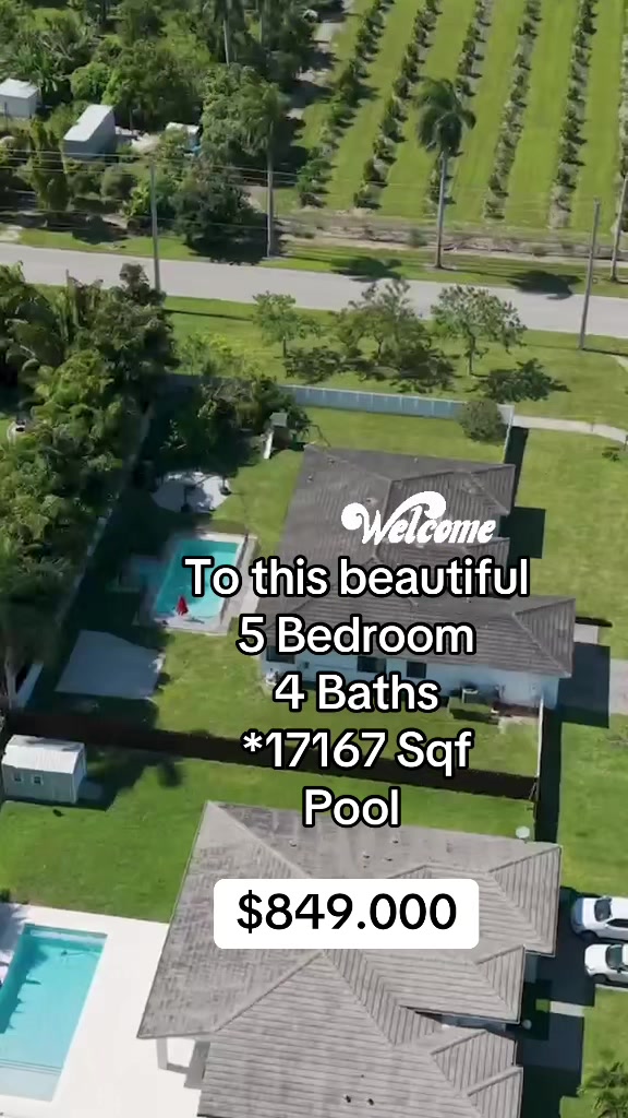 @Alexandra Morales| Realtor