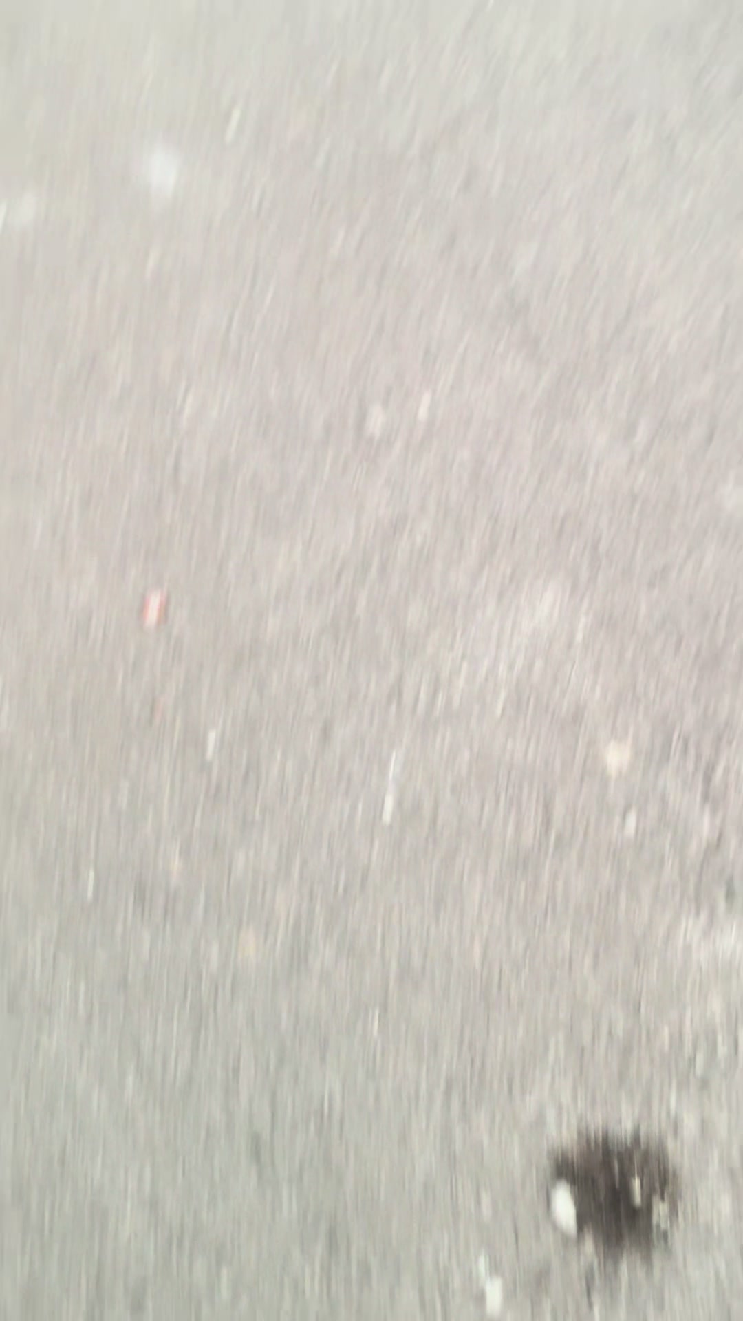 @salvobarra0
