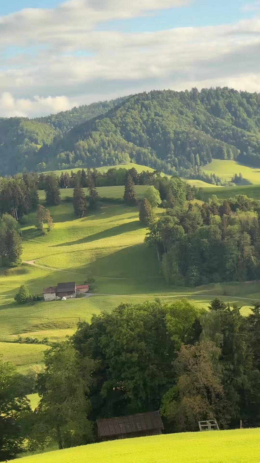 @🇧🇦Maja Sarajka Sultanija🇧🇦