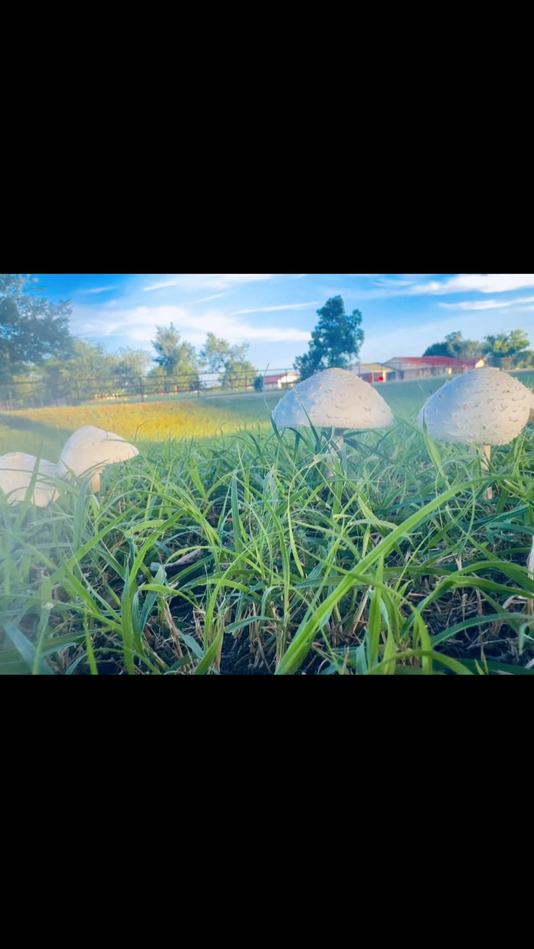 @olganoyola0105