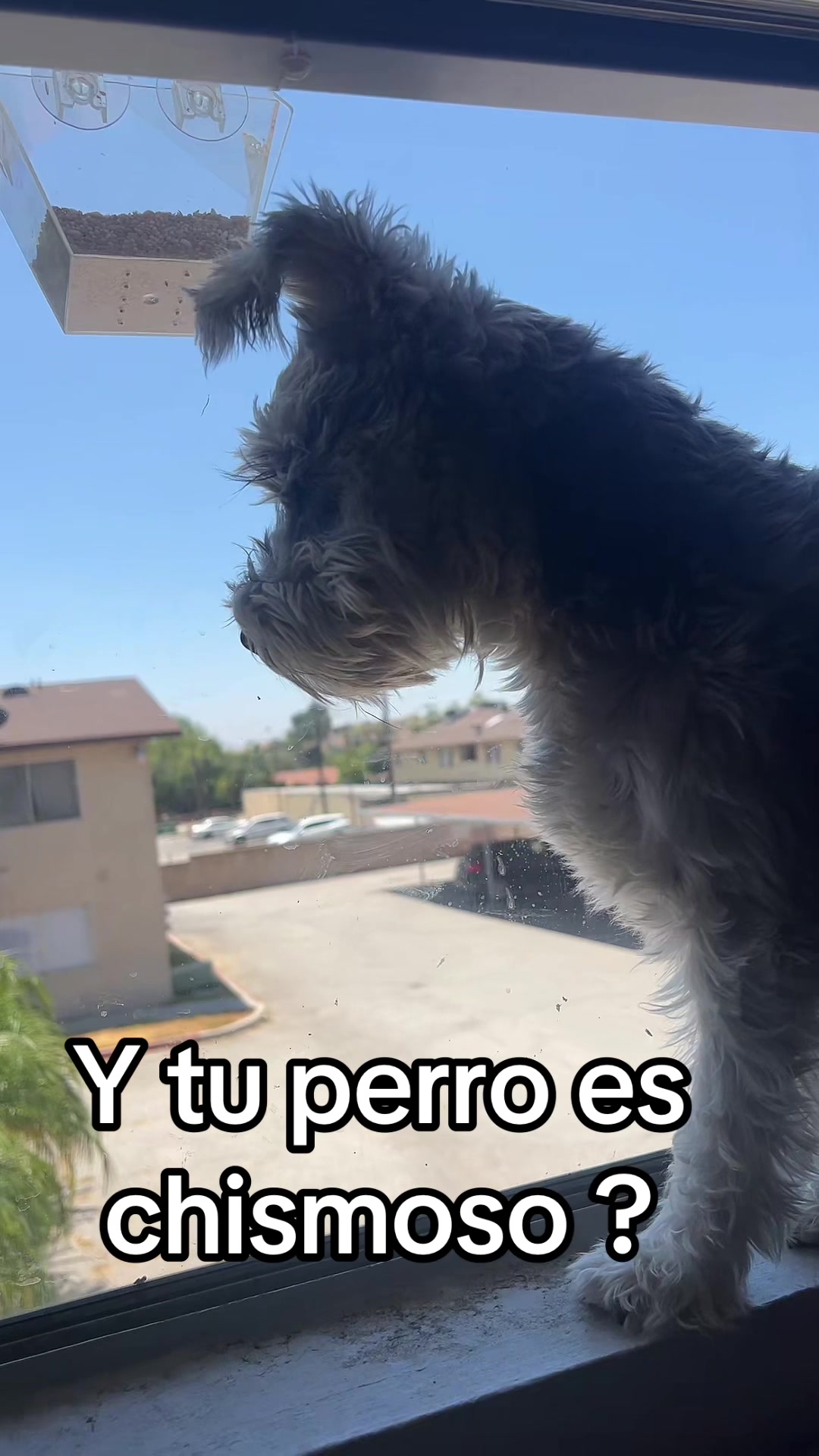 @La&rsquo; Beck