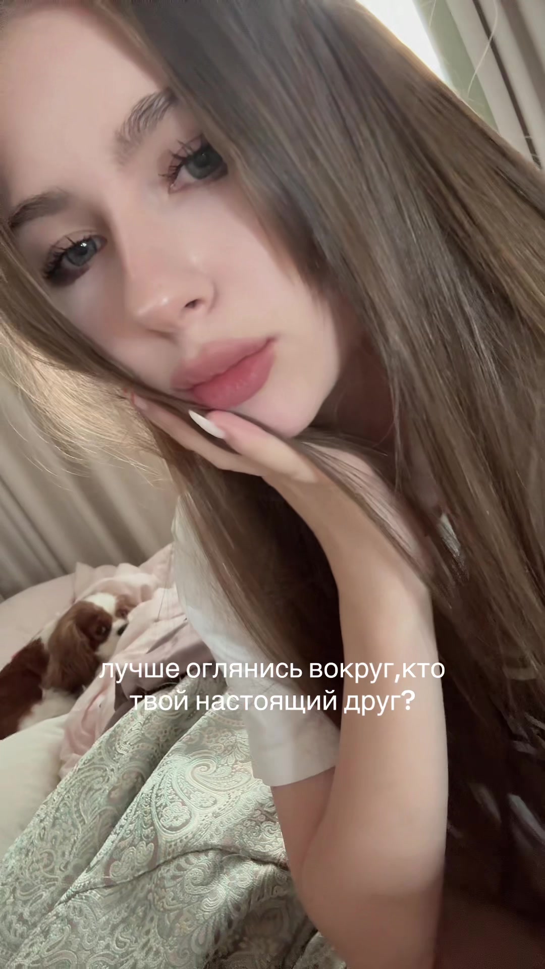 @demova_s