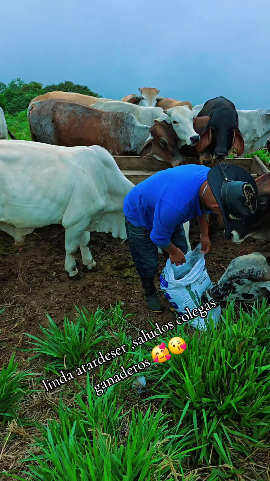 @🐓TU GALLO FINO 🐓