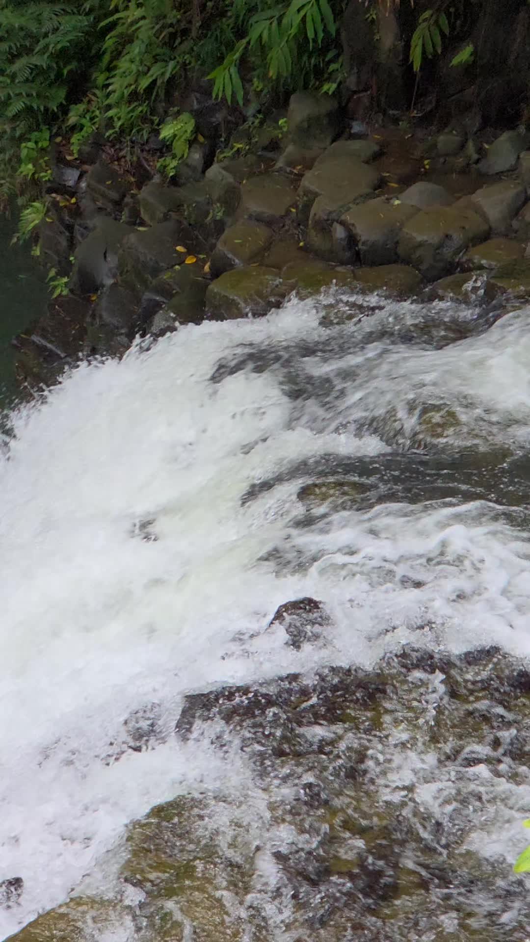 @Hike Maui